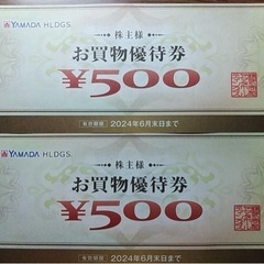 ヤマダ　お買い物券　24枚12000円分
