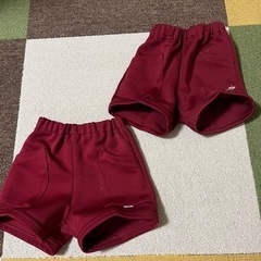 保育園用ポロシャツ　短パンの画像