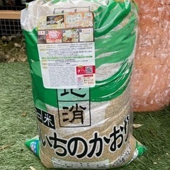 アクアリウム 水槽 水草 低床 砂の画像