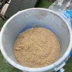 アクアリウム 水槽 水草 低床 砂