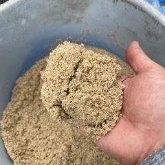 アクアリウム 水槽 水草 低床 砂の画像