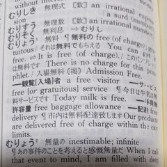 【無事受け渡し完了】古本　和英中辞典の画像