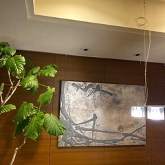 アートの画像