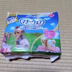 マナーウェア最小サイズ