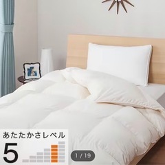 ホワイトダックダウン85% 羽毛布団(ムーンシャンテンN ダブル IV)