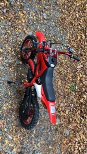 ポケバイ　中国産