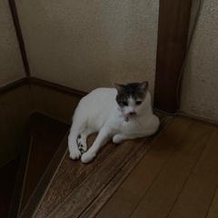 里親募集