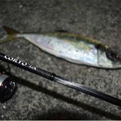 宇和島のショアジギングポイントを教えてください。