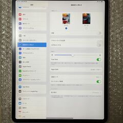 apple iPad Pro 12.9インチ 第3世代 Wi-F...