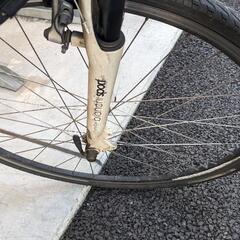 ビアンキ cielo クロスバイクの画像