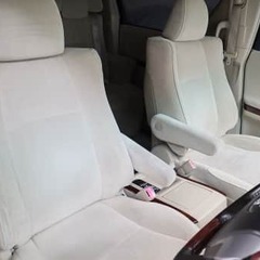 この顔は・・🙄前期？後期？の画像