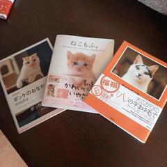 猫の本