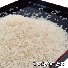 農家直送 秋田県産 令和５年 新米 あきたこまち ３０kg 特別栽培米 有機米 秋田小町 最高等級一等米 無洗米も対応