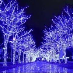 イルミネーションを見に行こう✨