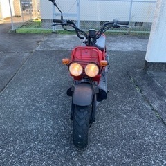 ホンダ　ズーマー　の画像