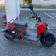 ホンダ　ズーマー　の画像
