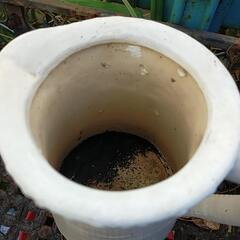 インテリア陶器 植え鉢の画像