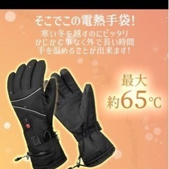電熱グローブの画像