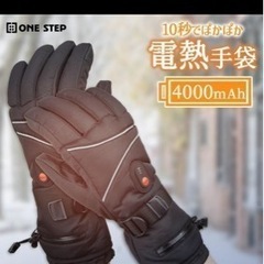 電熱グローブ
