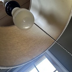 天井ライト 照明の画像