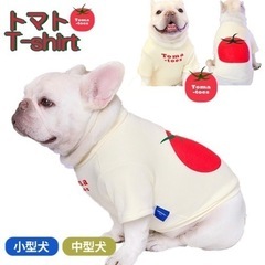犬の服　トマト柄シャツ