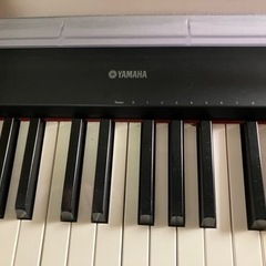 電子ピアノ！！の画像