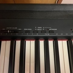 電子ピアノ！！の画像