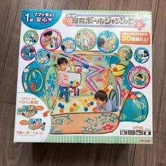 知育 ジャングル ボール ハウスの画像