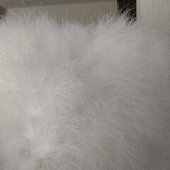 【美品】成人式用　ファーショールの画像