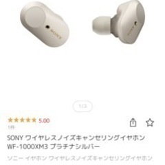 SONYワイヤレスイヤホン