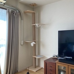 キャットタワー　お安くお譲りします！