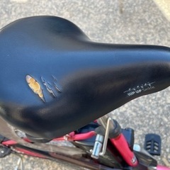 決まりました！　パナソニック電動自転車の画像