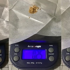本日激安！金が高騰中！¥20800相当！純金消／純度が高い… 23.44K(正一号)〜本金鈖0.80g