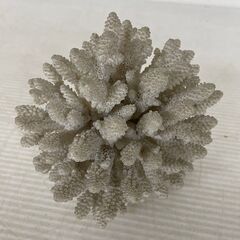 デスロックの中古が安い！激安で譲ります・無料であげます