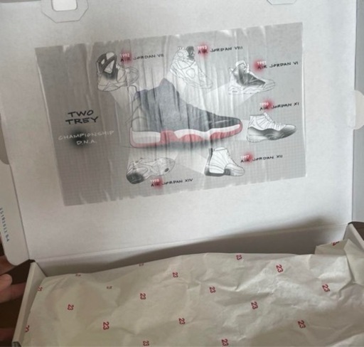 JORDAN BRAND JUMPMAN TWO TREY 25cm