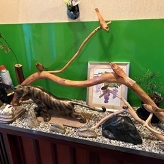 売ってはいない手作りです ￥0の画像