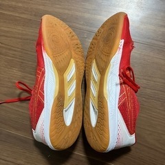 アシックス29センチの画像