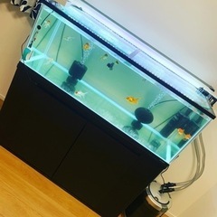 《取引中》120cm水槽フルセット等…