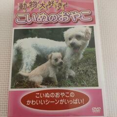 DVD 2枚セット　「どうぶつ」「こいぬ」の画像