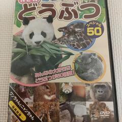 DVD 2枚セット　「どうぶつ」「こいぬ」の画像