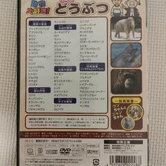 DVD 2枚セット　「どうぶつ」「こいぬ」の画像