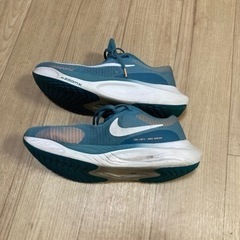 決まりました NIKE ズームフライ５の画像