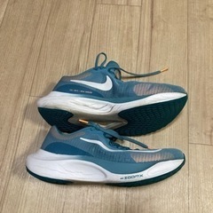 決まりました NIKE ズームフライ５の画像