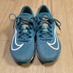 決まりました NIKE ズームフライ５
