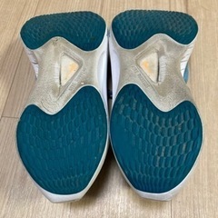 決まりました NIKE ズームフライ５の画像