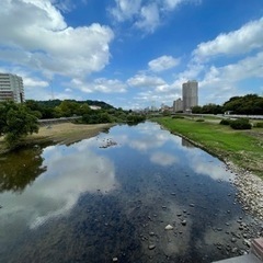 仙台ハーフマラソン完走を目指しませんか？の画像
