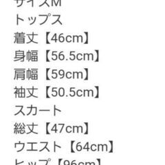 年始セール　未使用　グレイルセットアップ[pm117] の画像