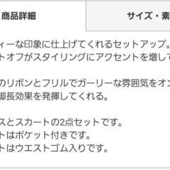 年始セール　未使用　グレイルセットアップ[pm117] の画像