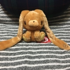 汎用うさぎの中古が安い！激安で譲ります・無料であげます