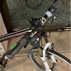 スコットの画像